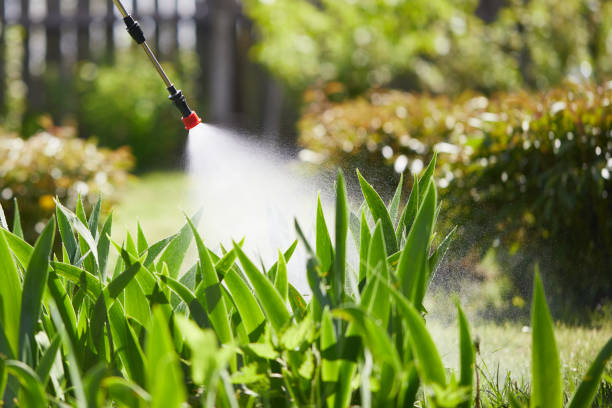 24/7 Emergency Mosquito Control experts in Pulaski, NY